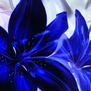 Meet your Posher, Magaly